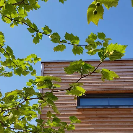 Apartment Elbquartier 'die Stadtoase' *