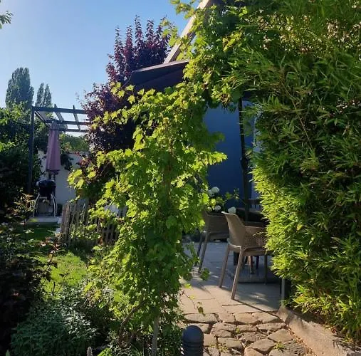 Elbquartier 'die Stadtoase' Lejlighed Magdeburg