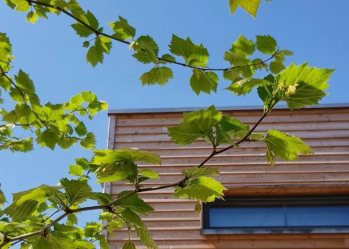 Lejlighed Elbquartier 'die Stadtoase' *